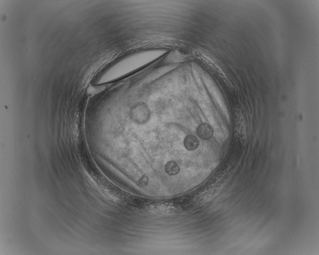 X0000074030586200609111716