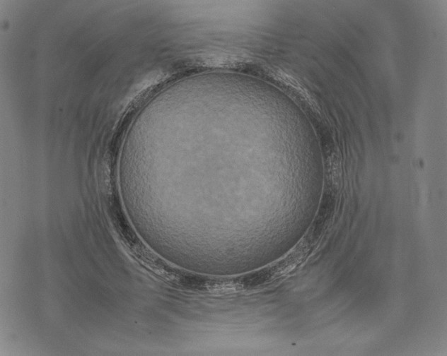 X0000074030587200609111716