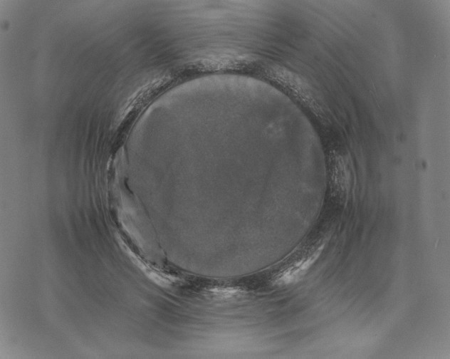 X0000074030590200609111716