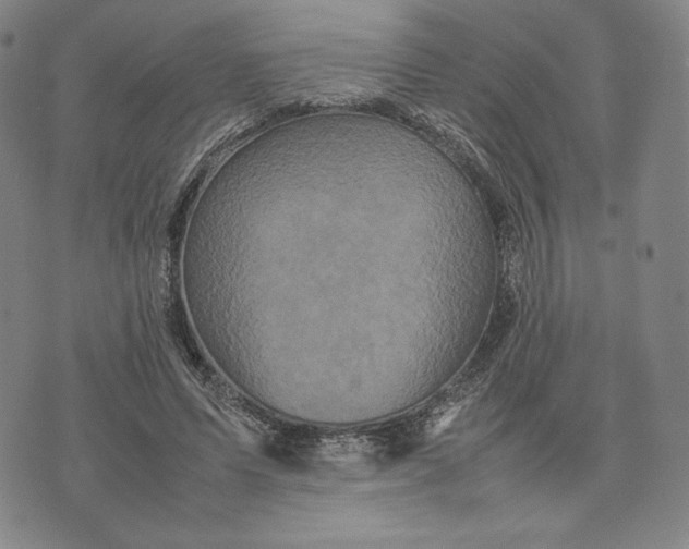 X0000074030591200609111716