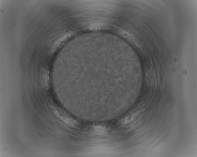 X0000074030592200609111716