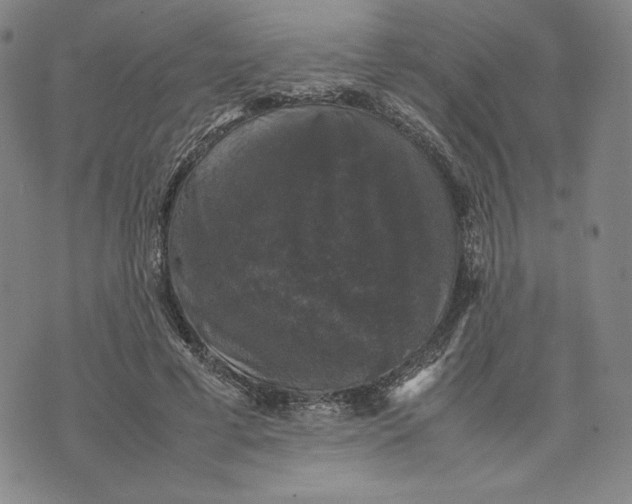 X0000074030593200609111716