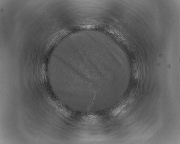 X0000074030594200609111716