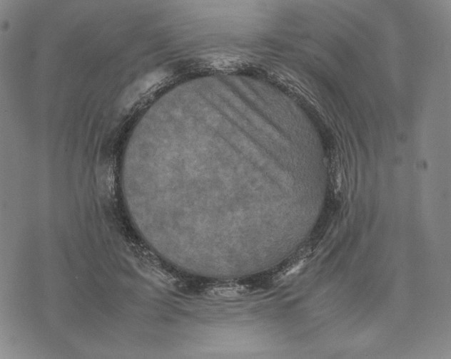 X0000074030595200609111716