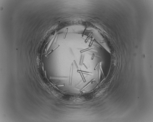 X0000074030597200609111716