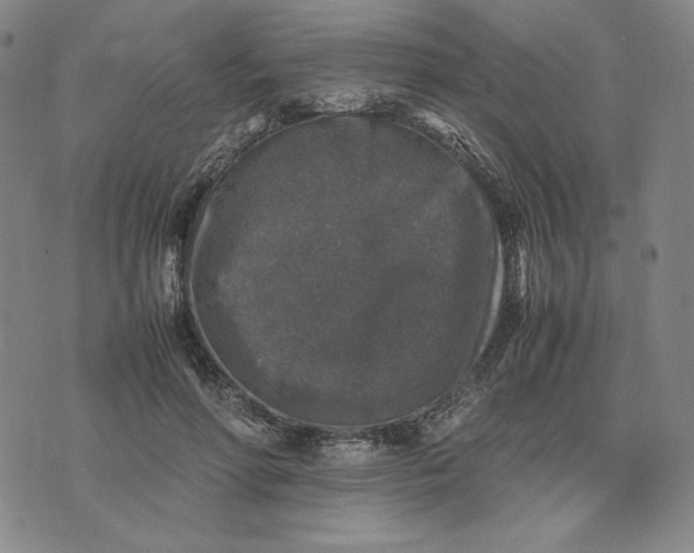 X0000074030598200609111716