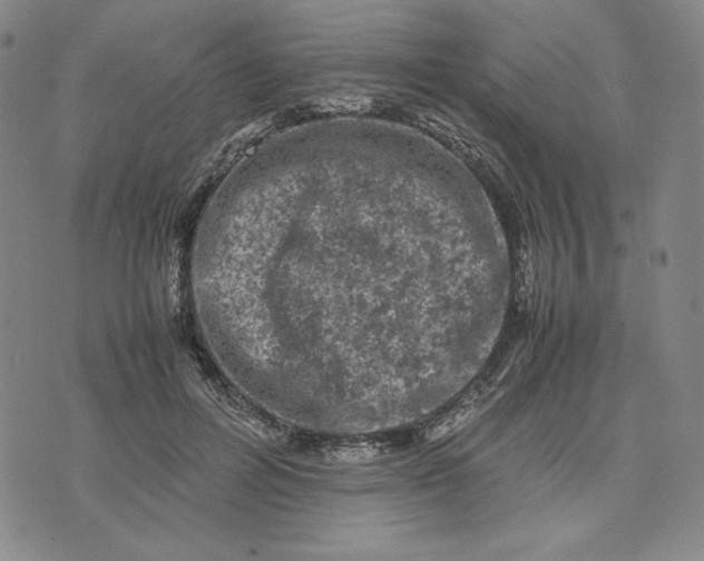 X0000074030600200609111716