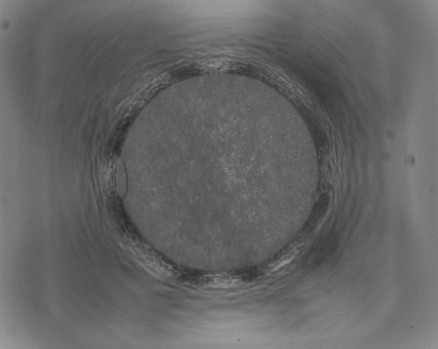 X0000074030601200609111716