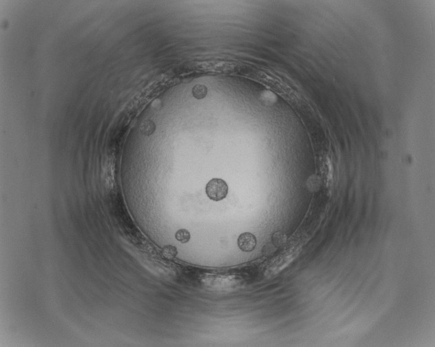 X0000074030602200609111716