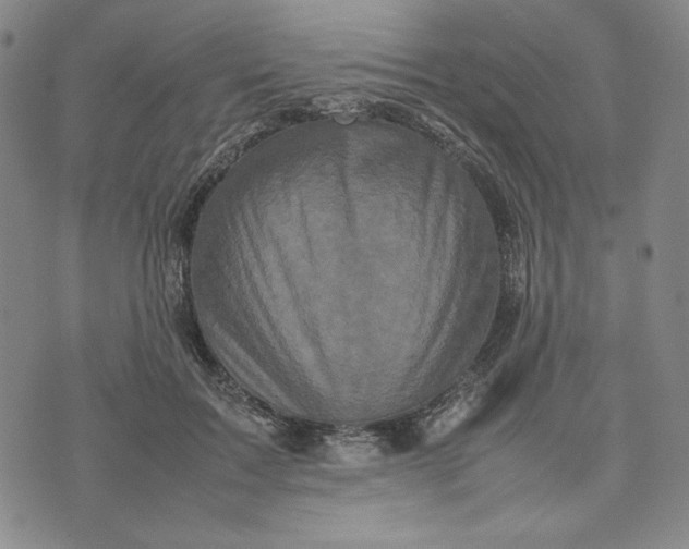 X0000074030603200609111716