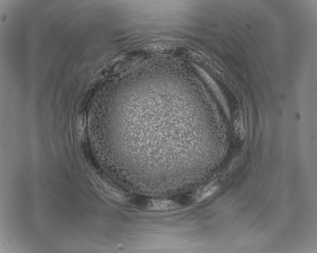 X0000074030605200609111715