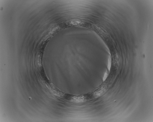 X0000074030606200609111715