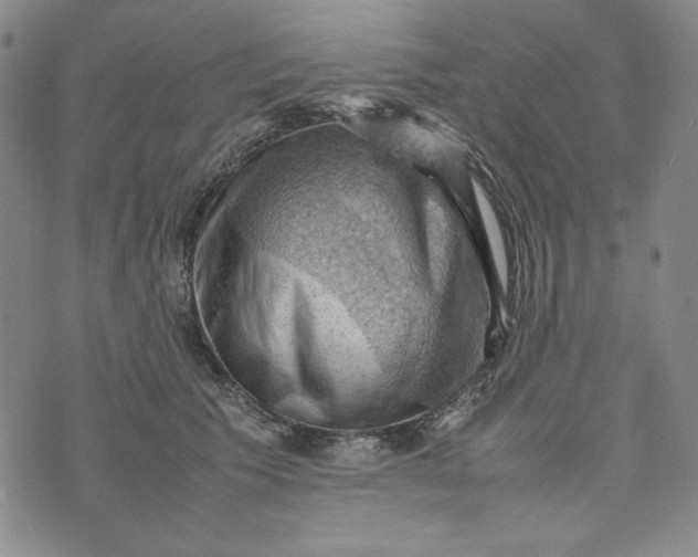 X0000074030609200609111715