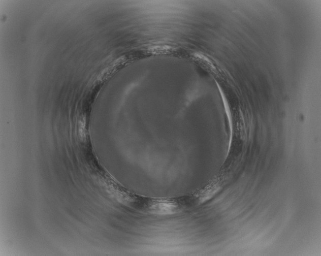 X0000074030610200609111715