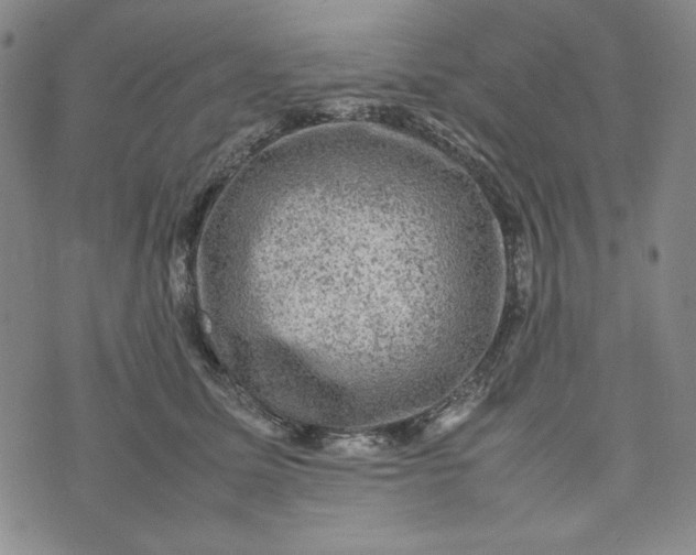 X0000074030611200609111715