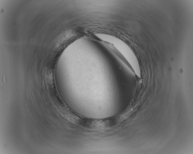 X0000074030613200609111715