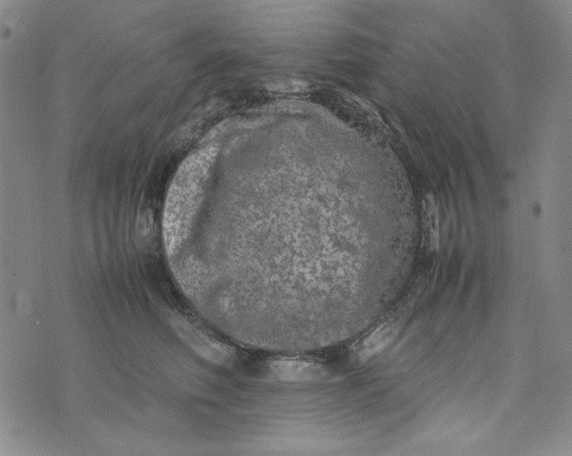 X0000074030614200609111715