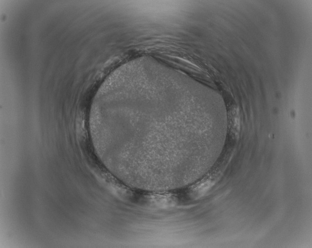 X0000074030615200609111715