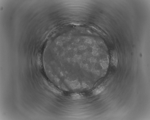 X0000074030616200609111715