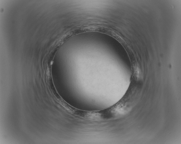 X0000074030617200609111715