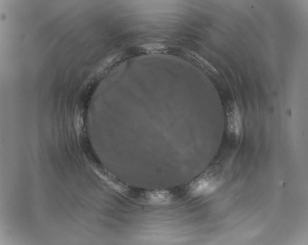 X0000074030618200609111715