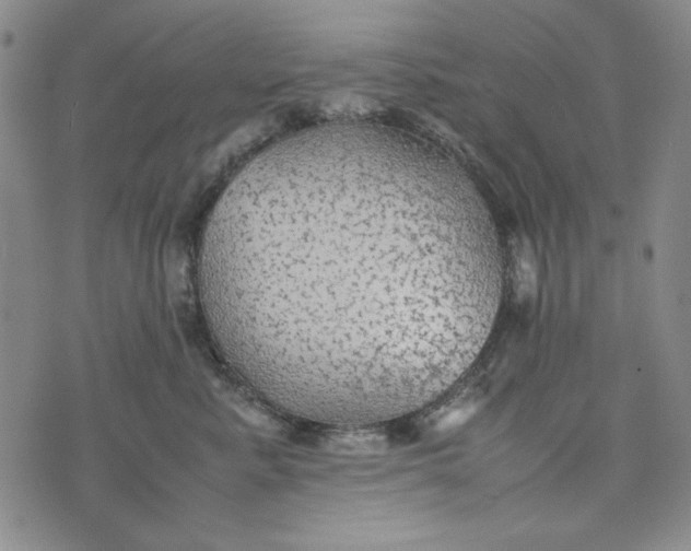 X0000074030619200609111715