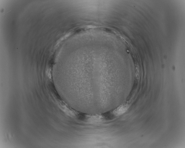 X0000074030621200609111715