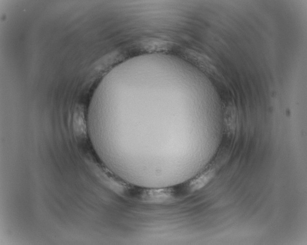 X0000074030622200609111715