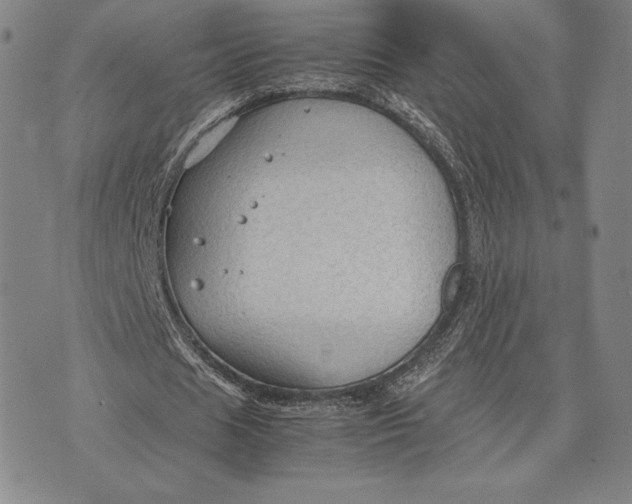 X0000074030625200609111714