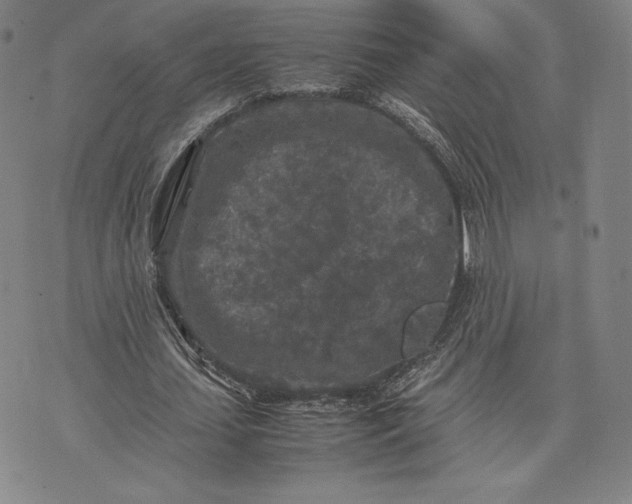 X0000074030627200609111714