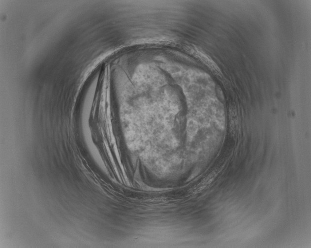 X0000074030628200609111714