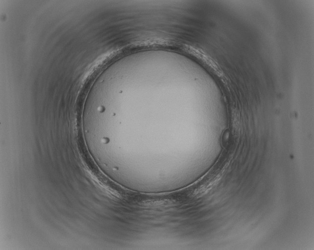 X0000074030629200609111714