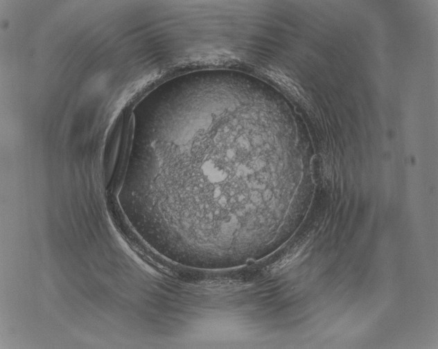 X0000074030630200609111714