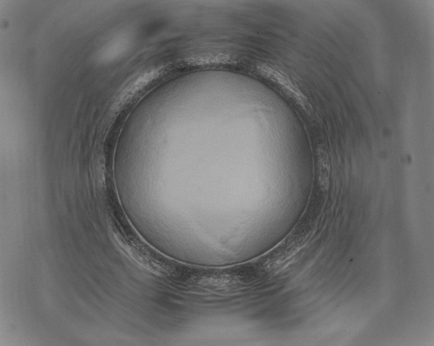 X0000074030631200609111714