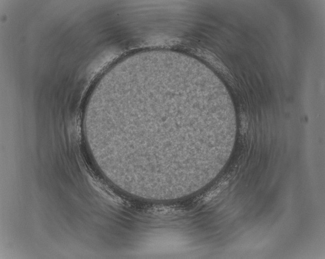 X0000074030632200609111714