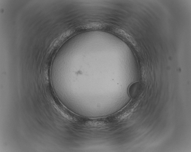 X0000074030633200609111715