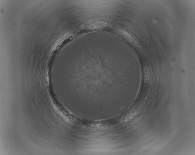 X0000074030634200609111715