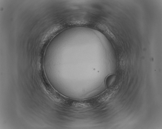 X0000074030635200609111715