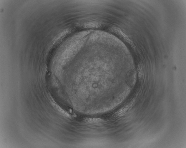 X0000074030637200609111715