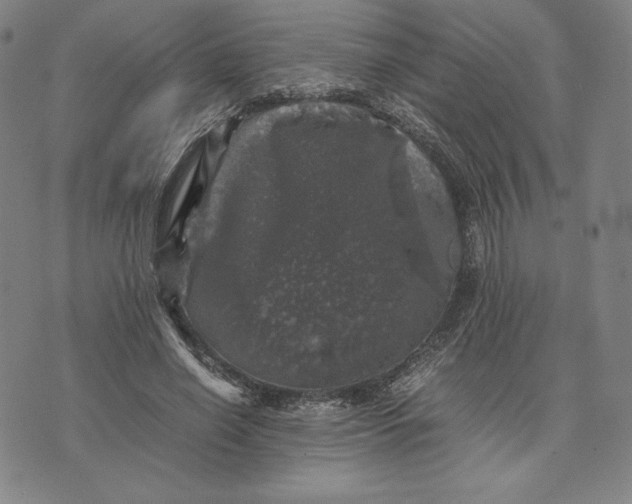 X0000074030638200609111715