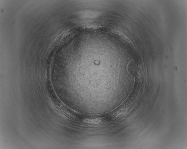 X0000074030639200609111715