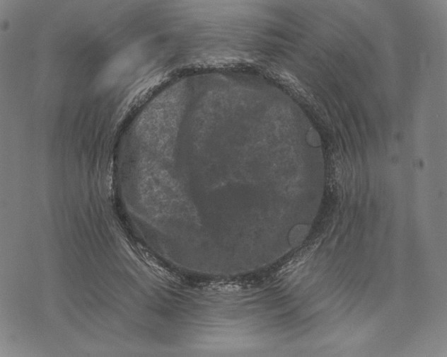 X0000074030640200609111715