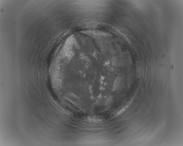 X0000074030641200609111715