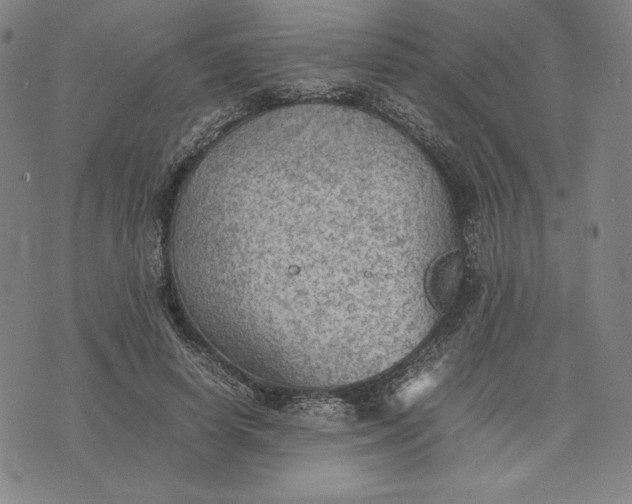 X0000074030642200609111715