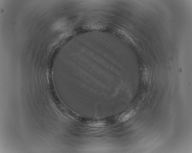 X0000074030643200609111715