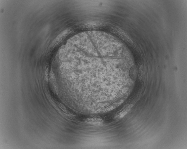 X0000074030644200609111715