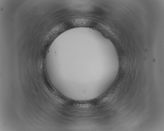 X0000074030645200609111715