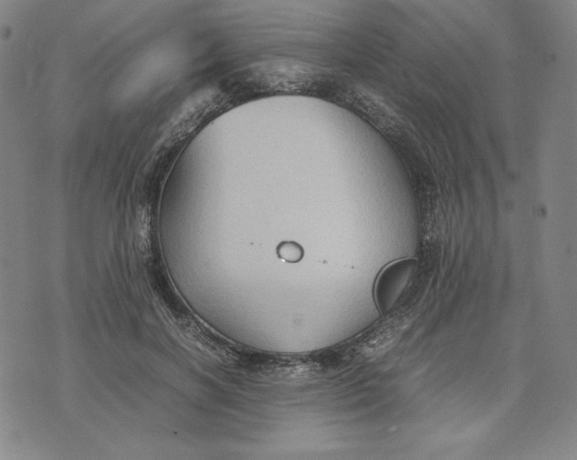 X0000074030646200609111715