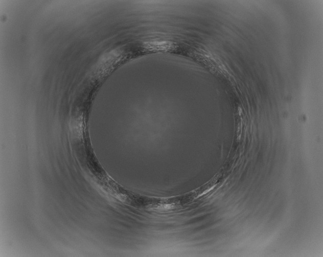 X0000074030647200609111715