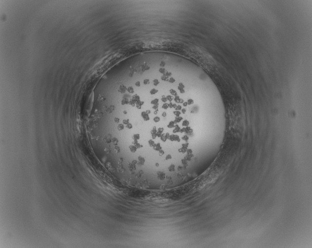 X0000074030648200609111715